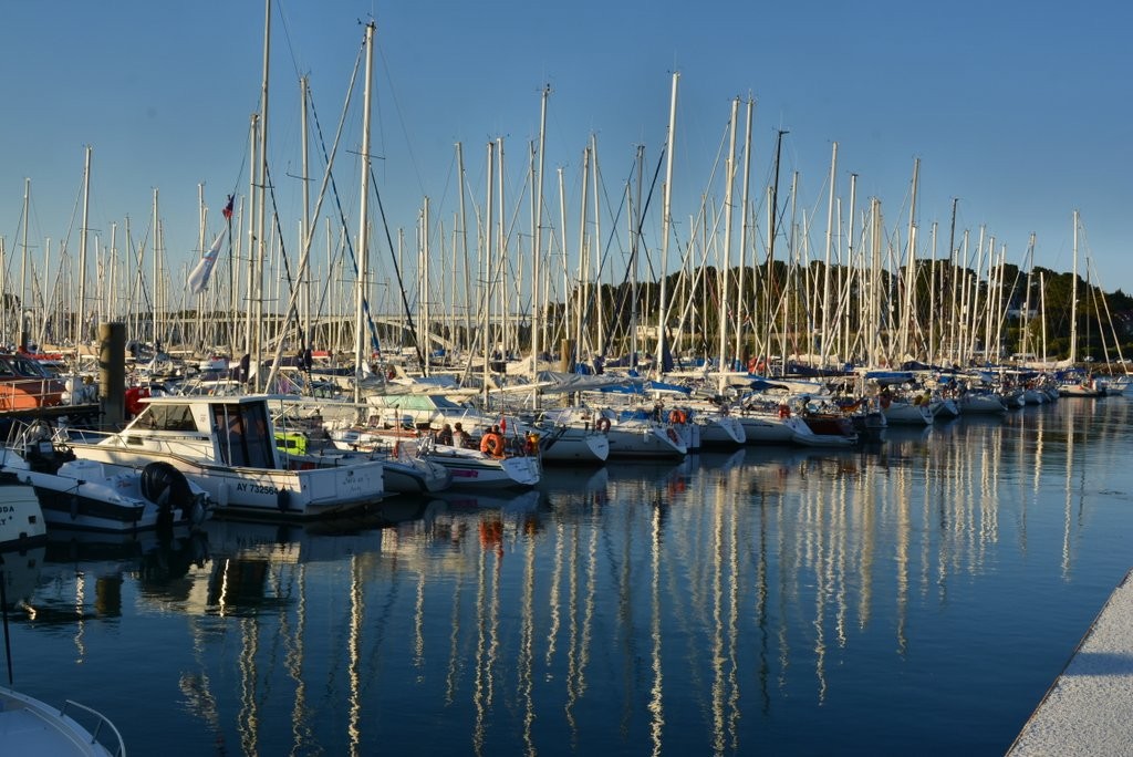 1 dsc 4762