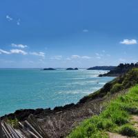 Pointe du Grouin avril 2018