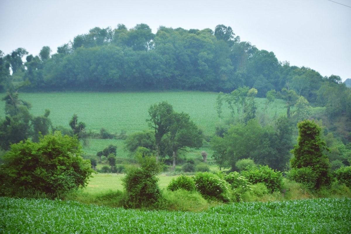 Bocage mayennais