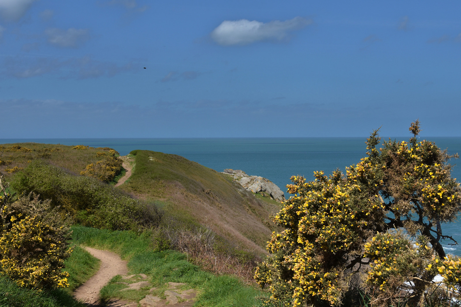 Pointe du Grouin avril 2018