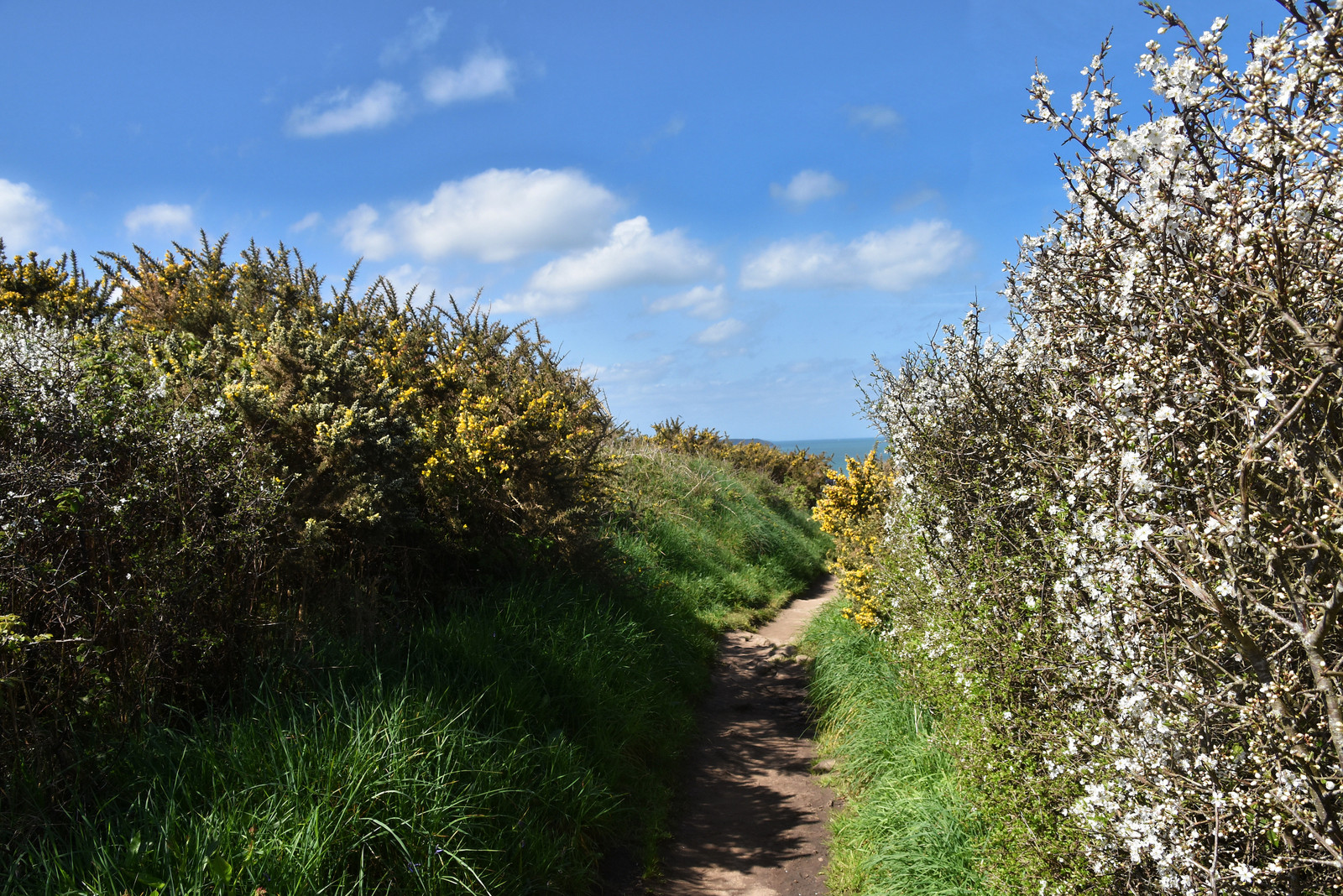 Pointe du Grouin avril 2018