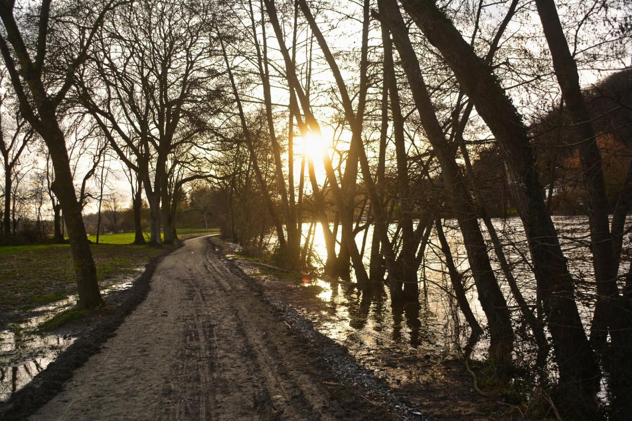 Chemin de halage de la Mayenne