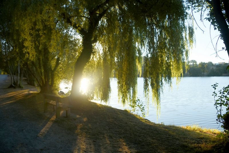 Etang de Changé