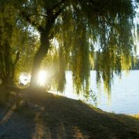 Etang de Changé