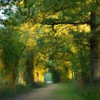 Genest St Isle (53)