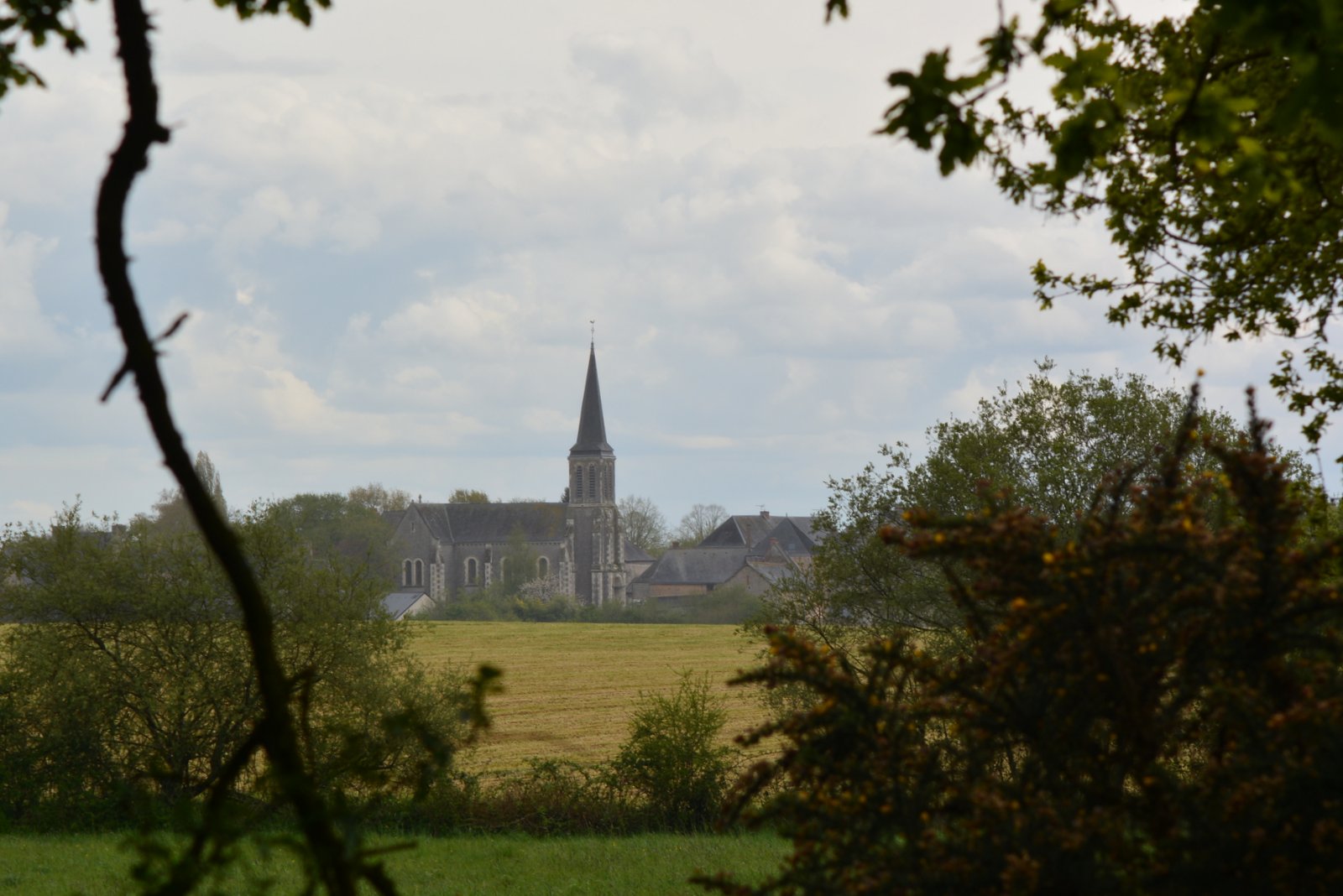 DSC_0026-001