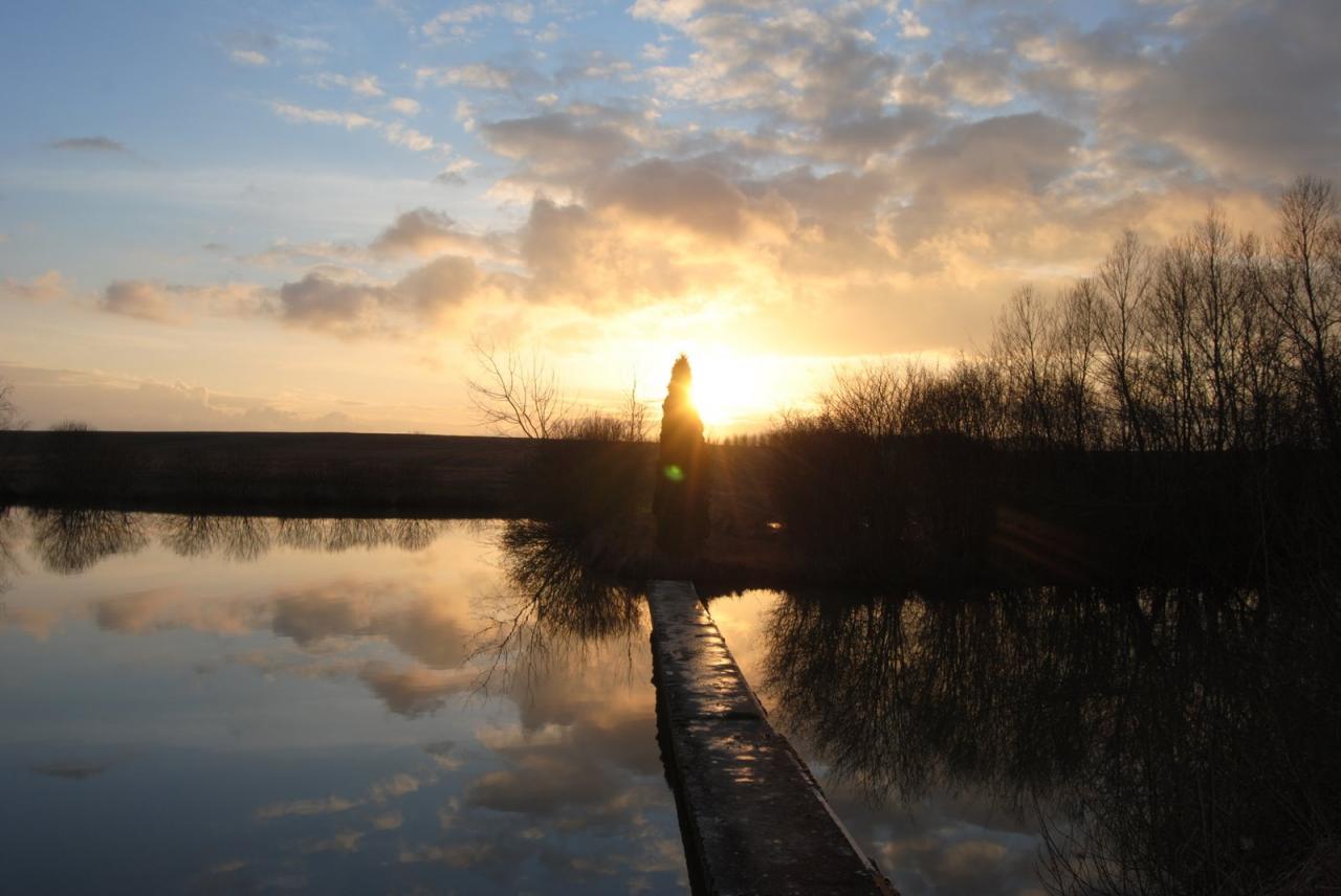 Etang en Moselle