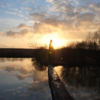 Etang en Moselle