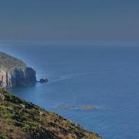 DSC_0419_picc