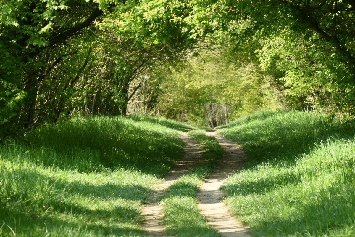Dsc 0592