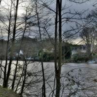 DSC_1066