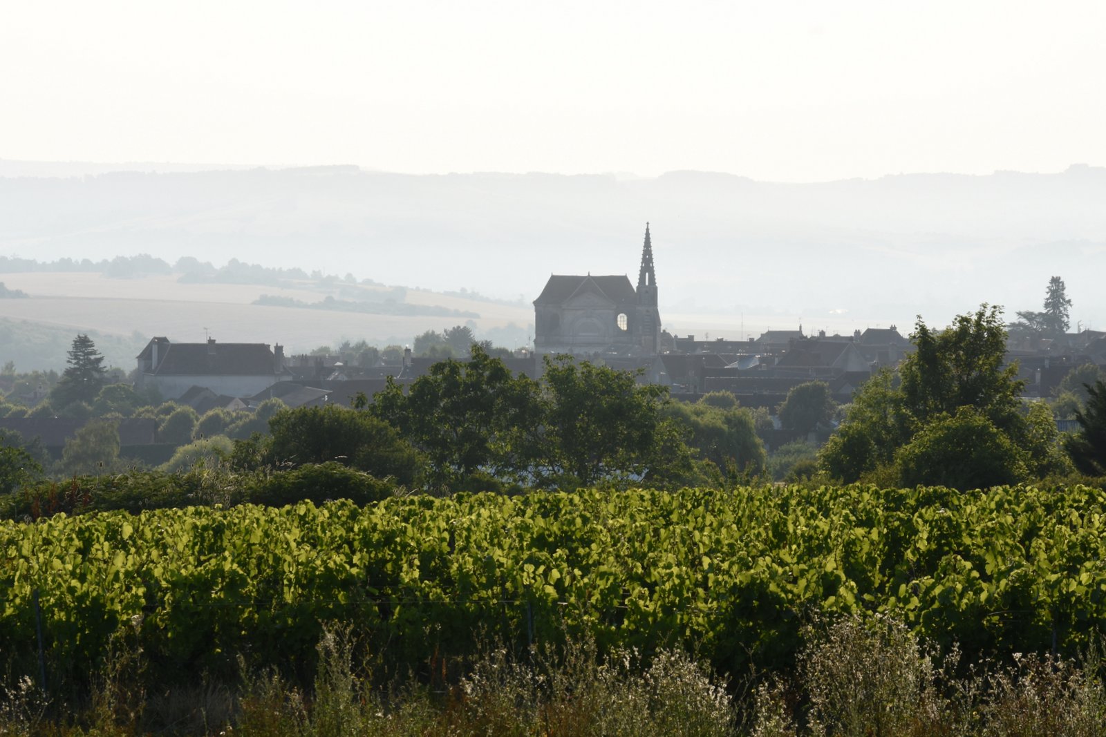 Coulange la Vineuse (89)