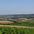 Yonne