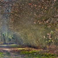 Couleur du silence