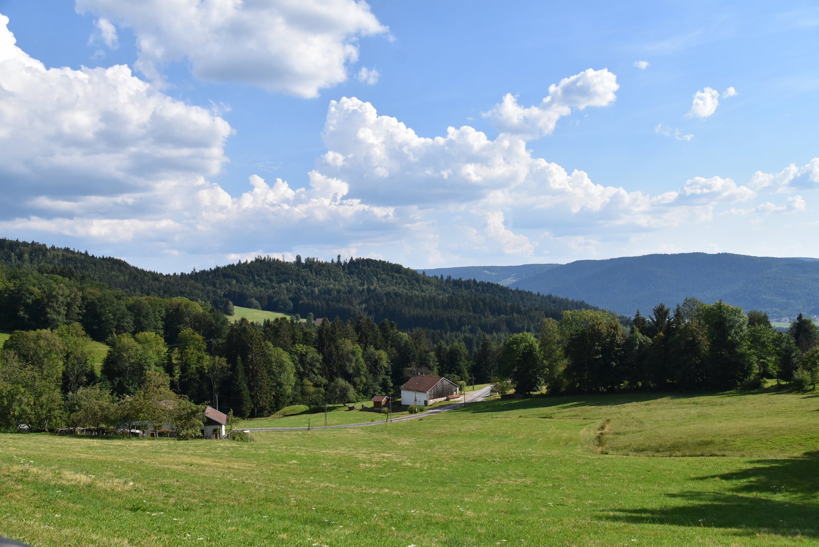 Vosges