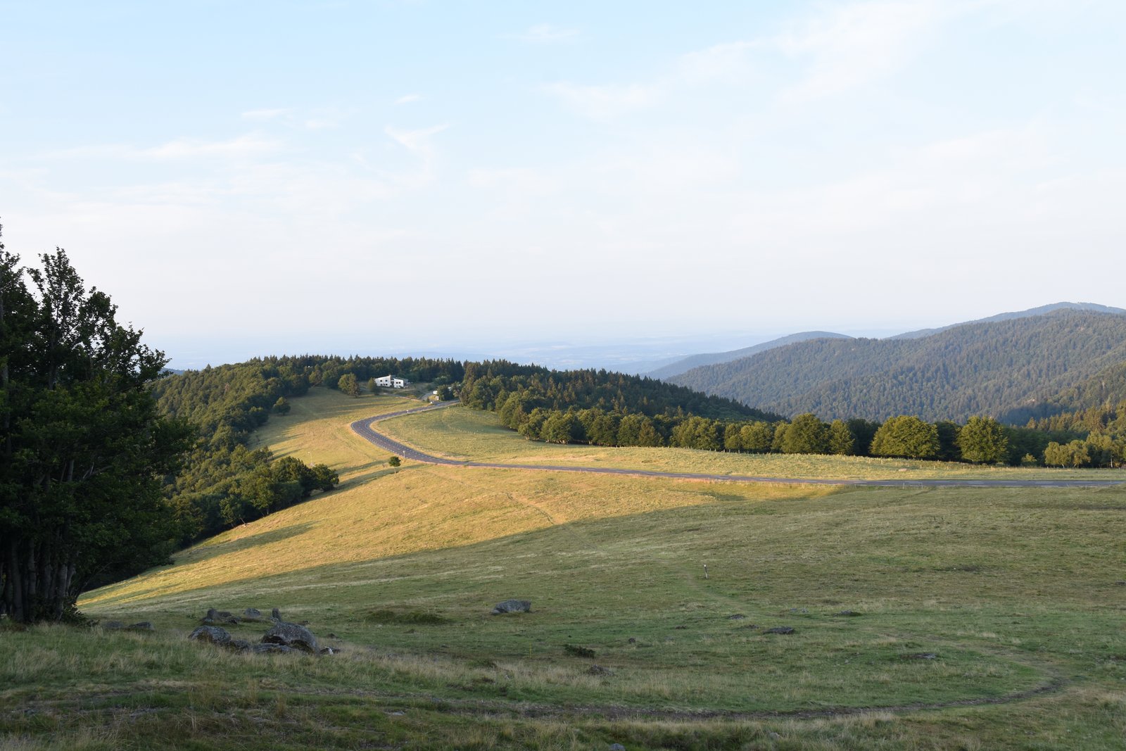 Vosges