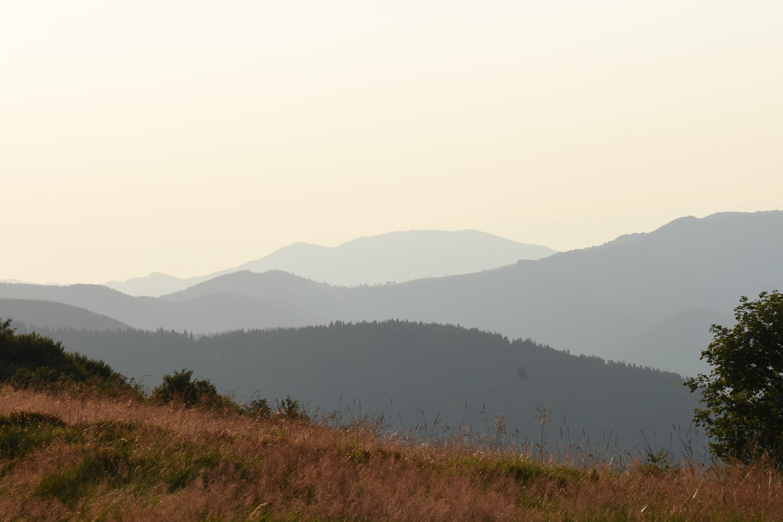 Vosges (ballon d'Alsace)