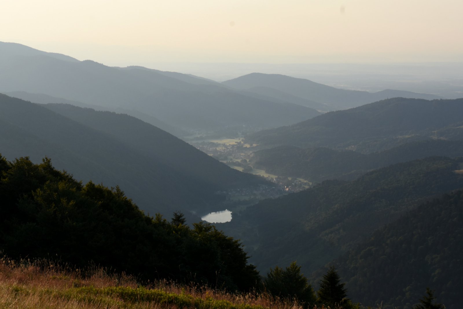 Vosges