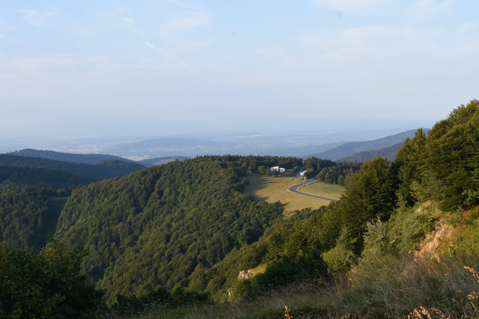 Vosges