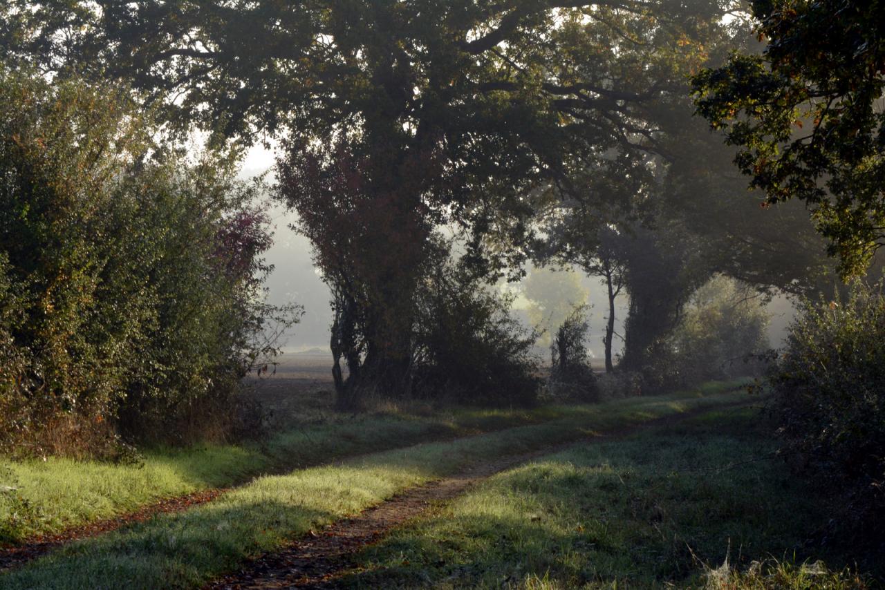 Chemin de paix