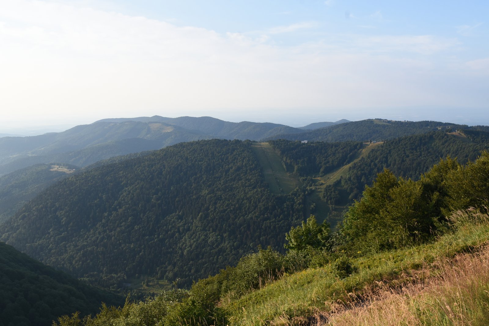 Vosges