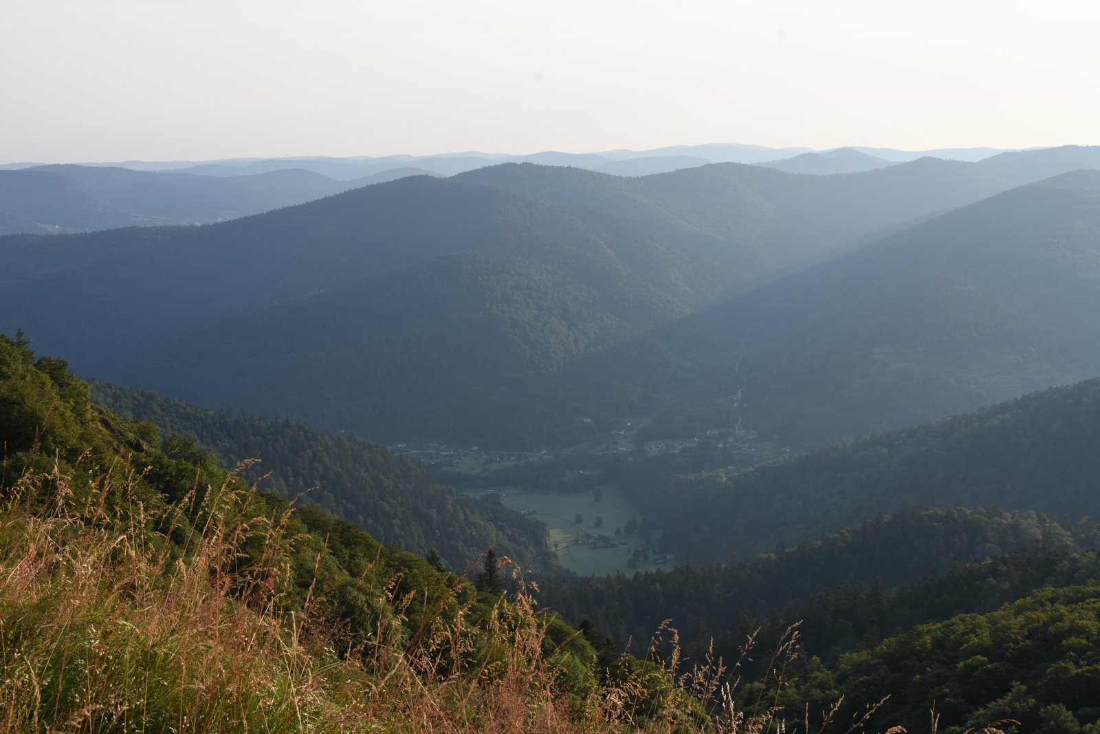 Vosges