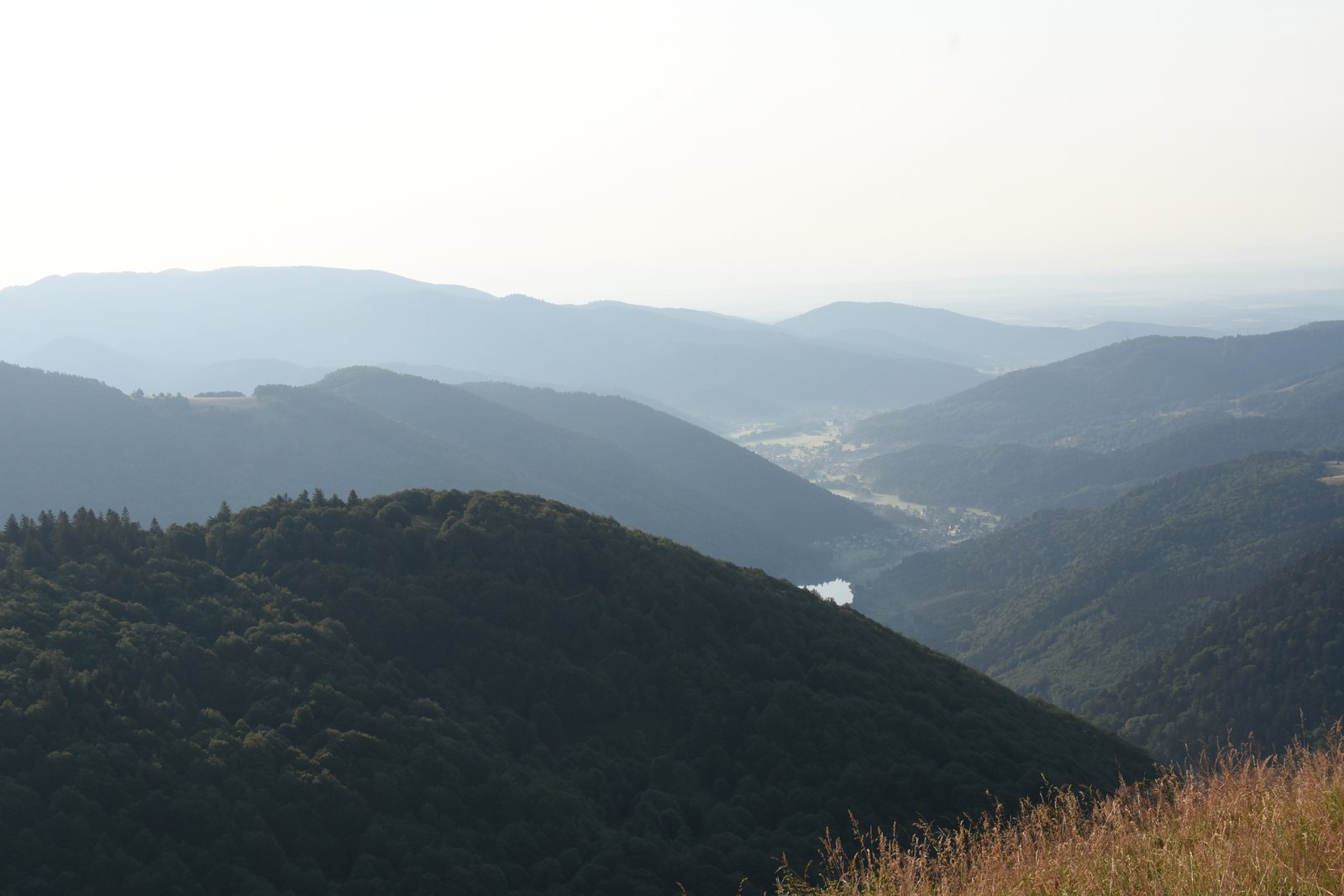 Vosges