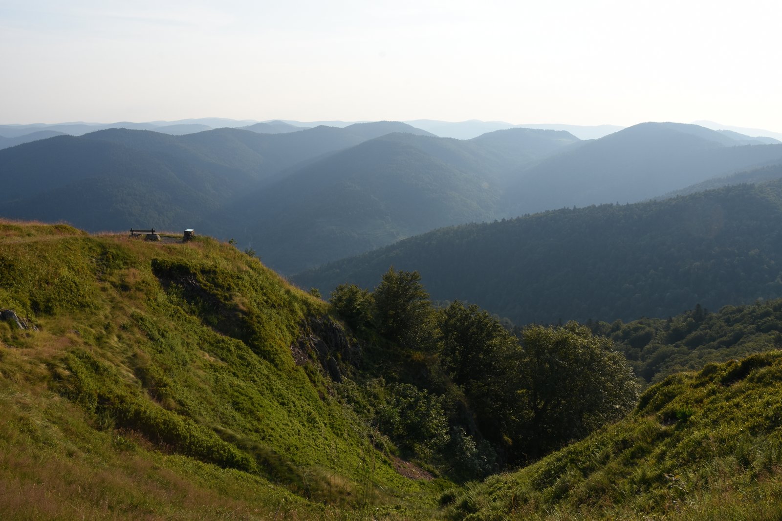 Vosges
