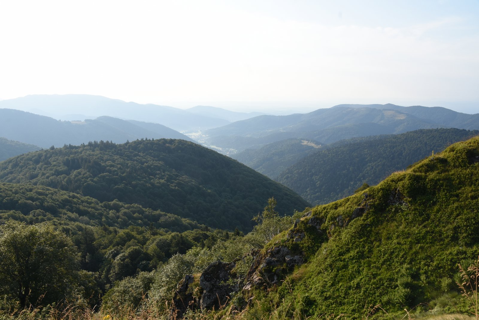 Vosges