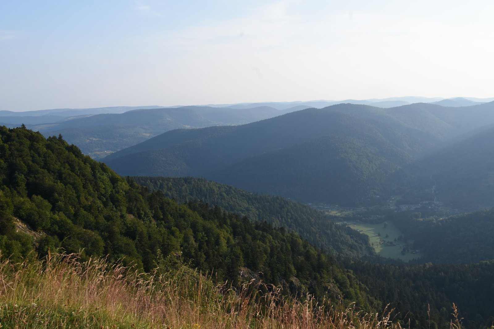 Vosges