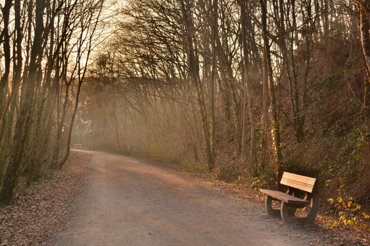 Pause de lumière