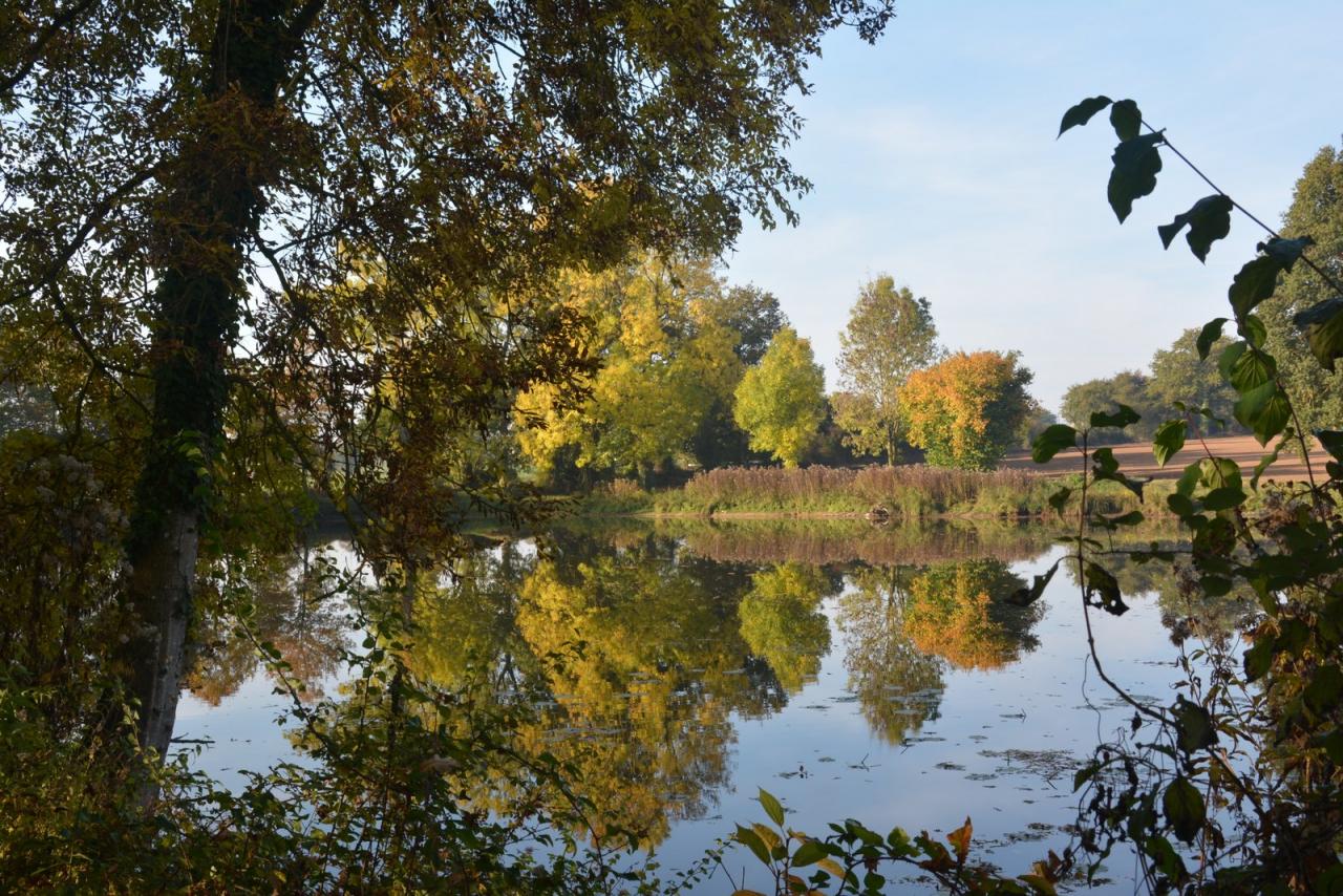 Présence d'Automne