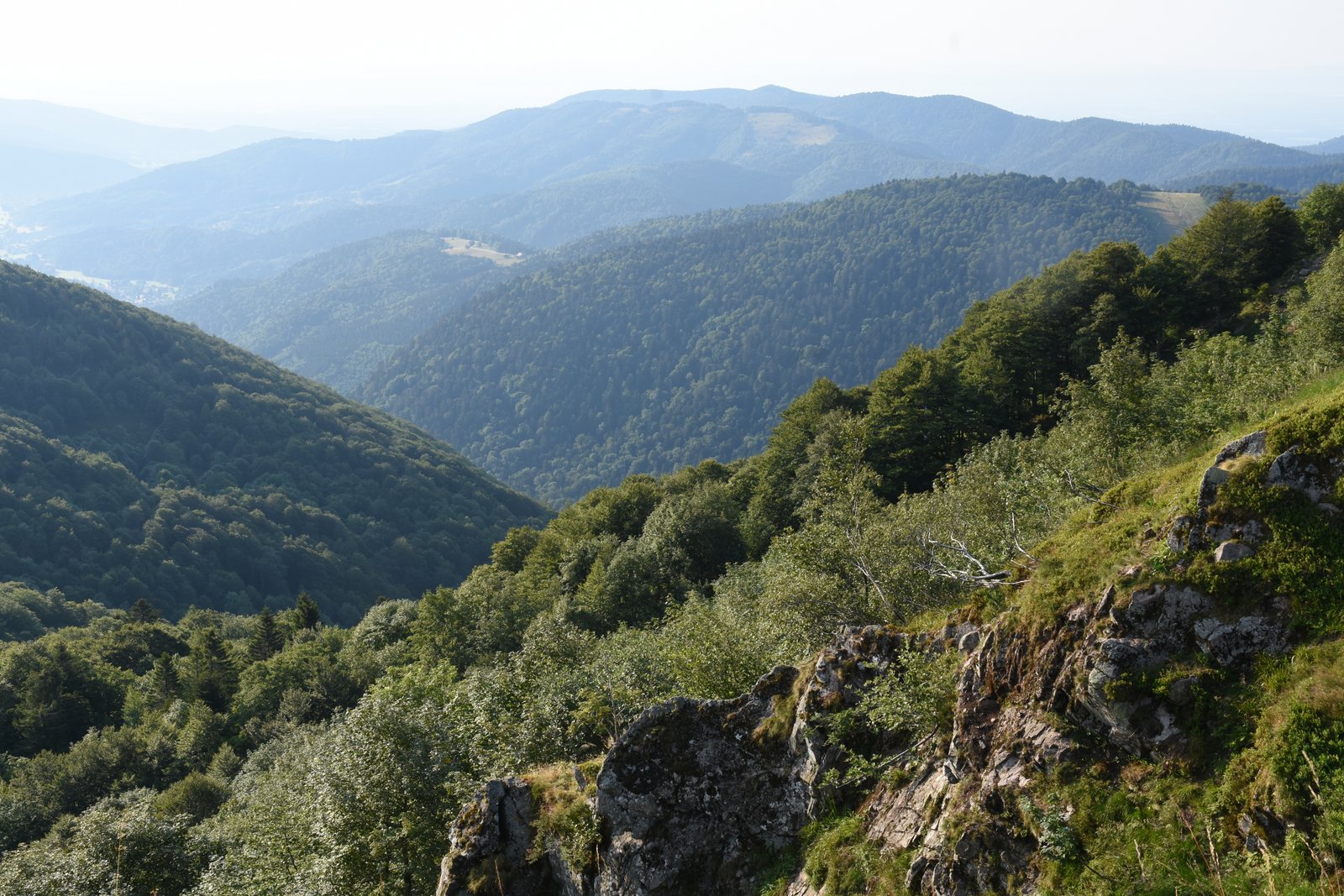 Vosges