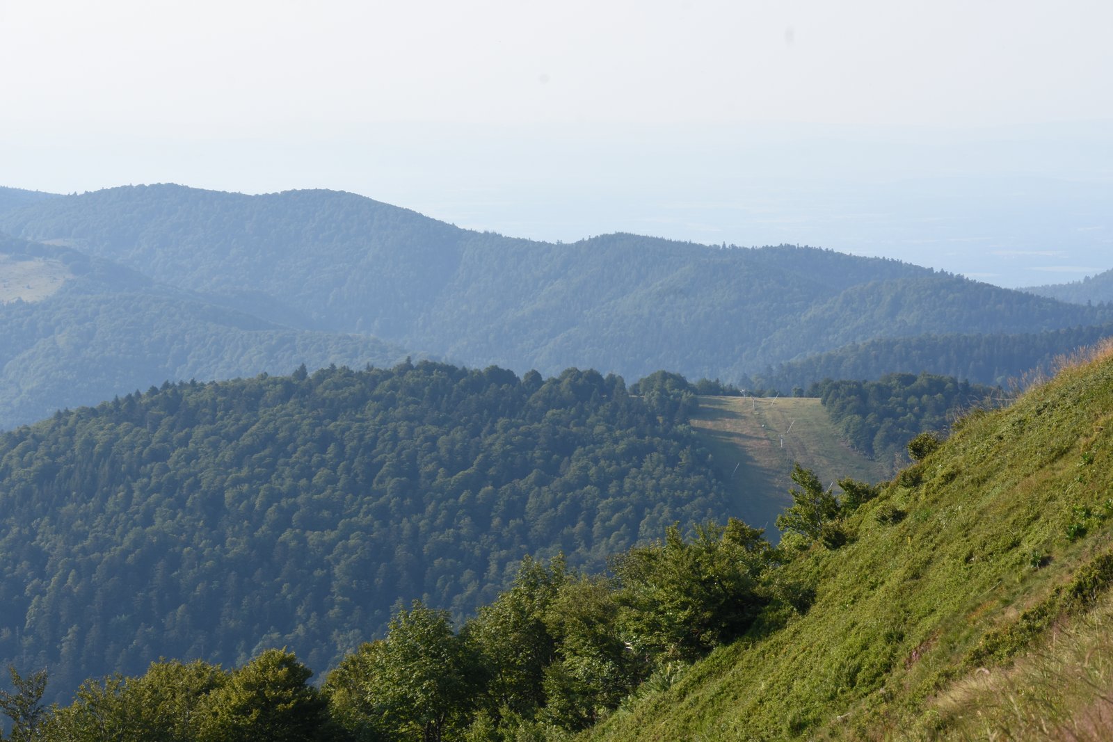 Vosges