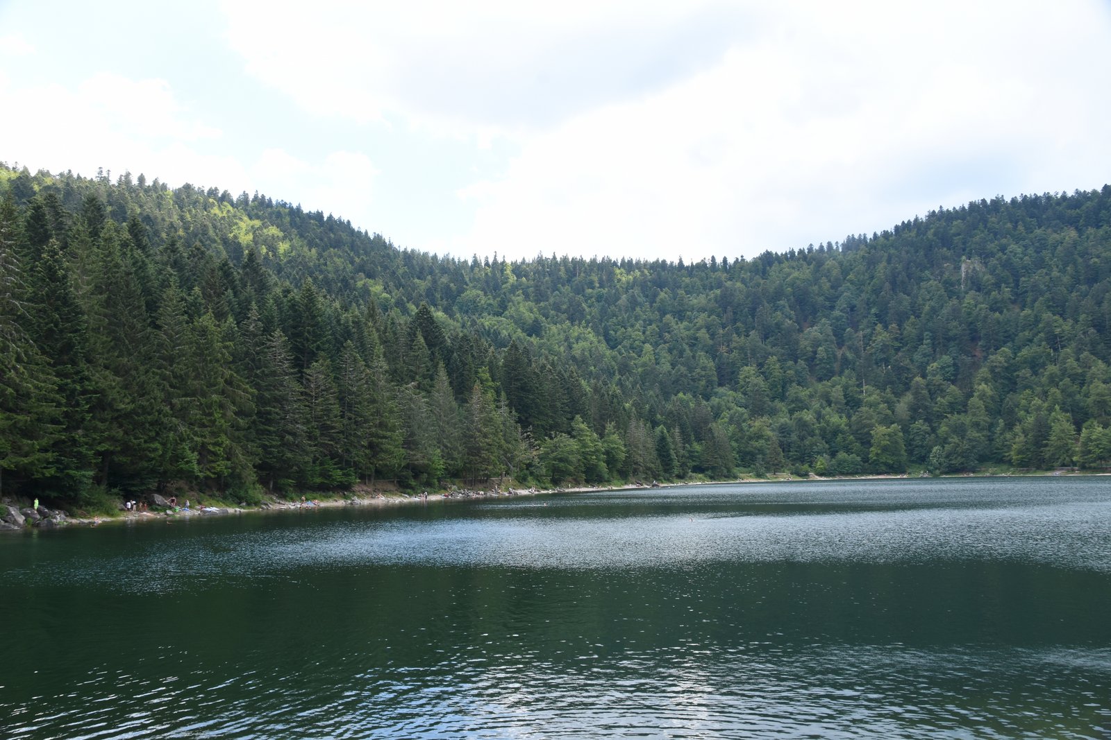 Vosges (lac des corbeaux)