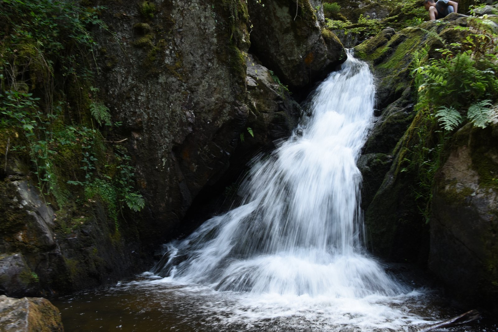 Vosges (cascade du Tendon)