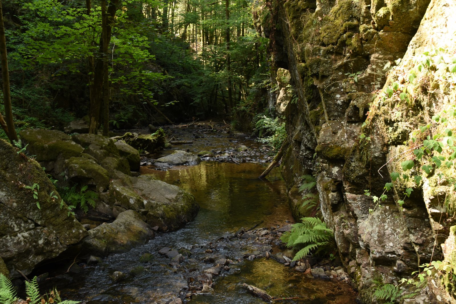 Vosges