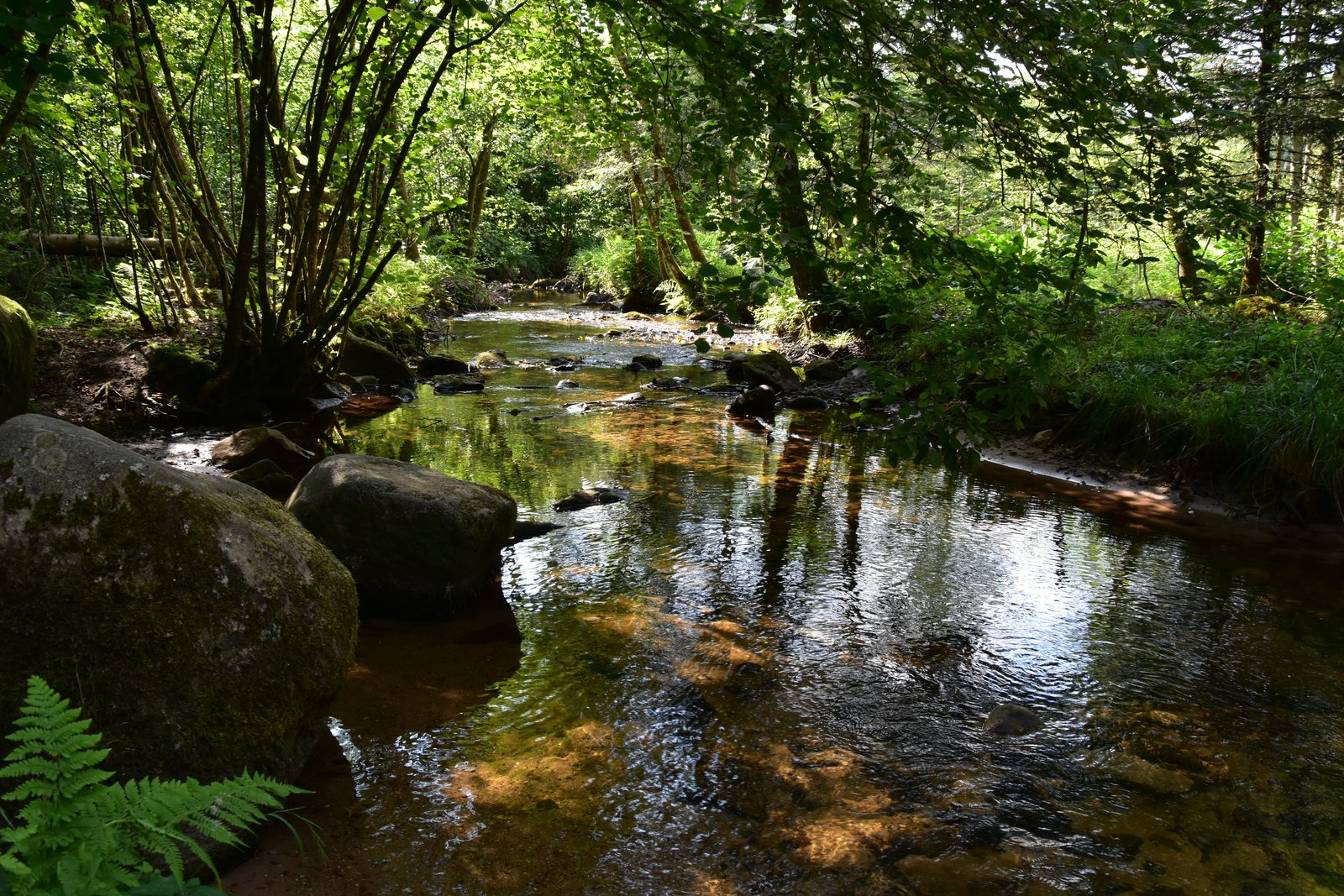 Vosges