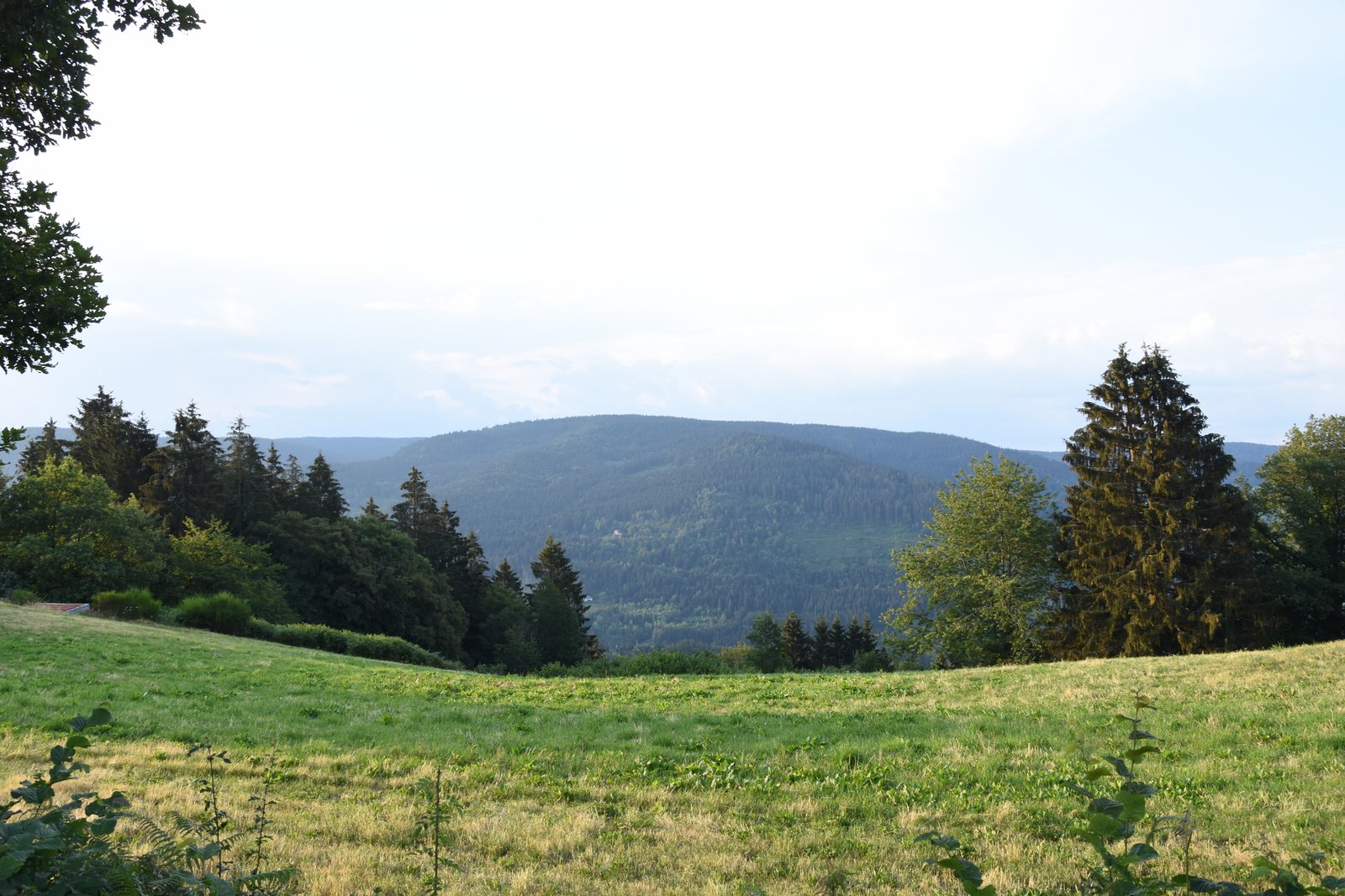 Vosges