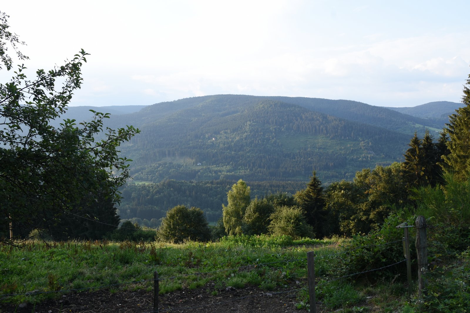 Vosges