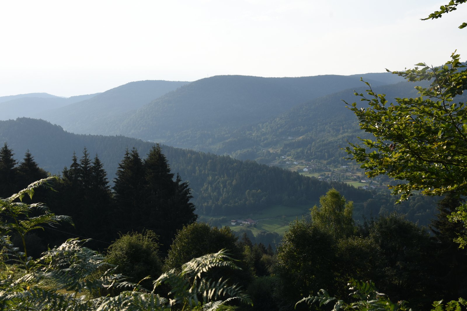 Vosges