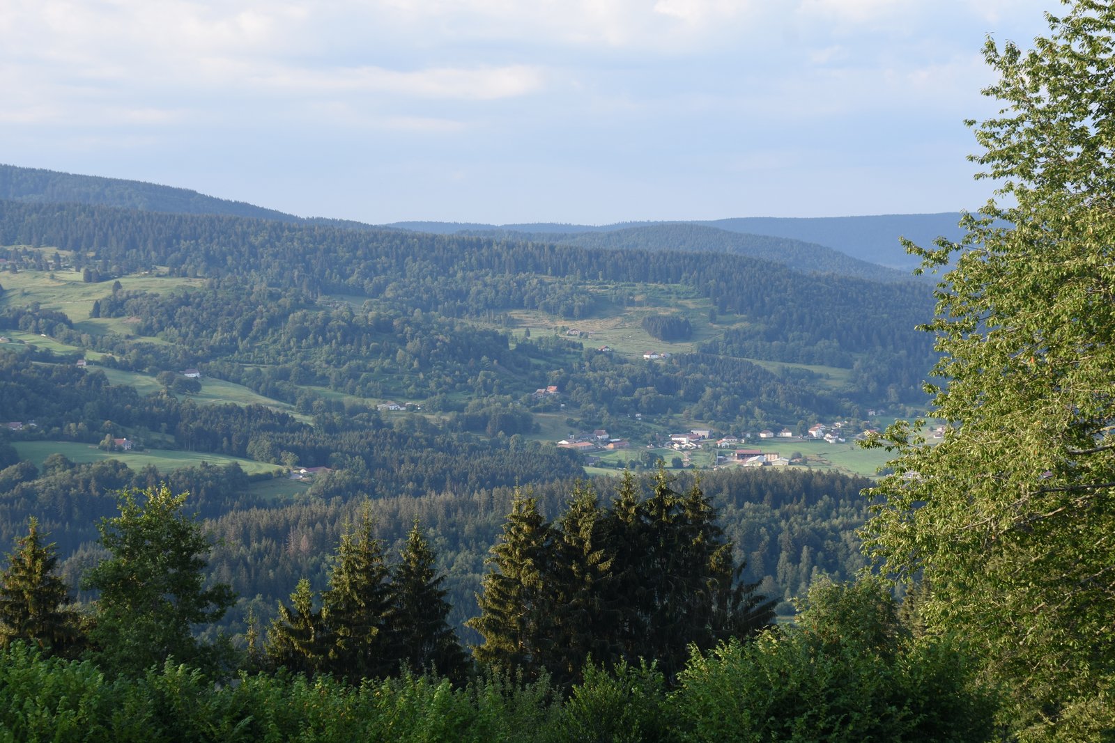 Vosges