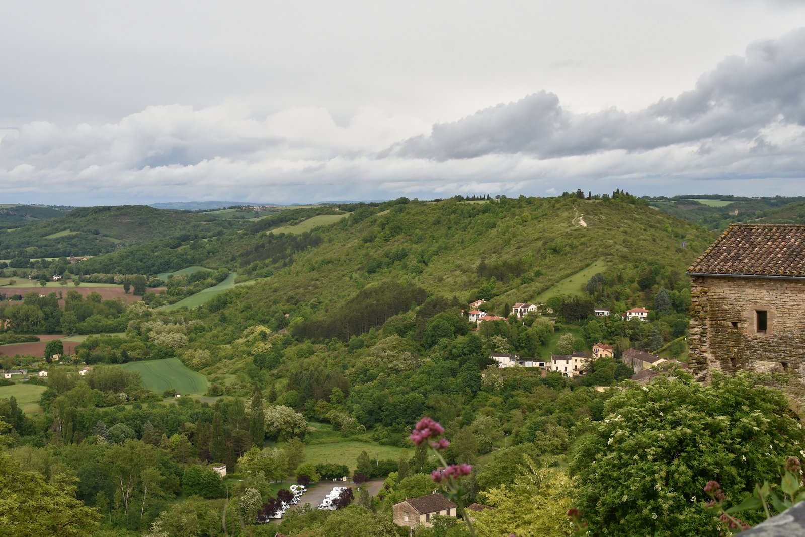DSC_2137_picc