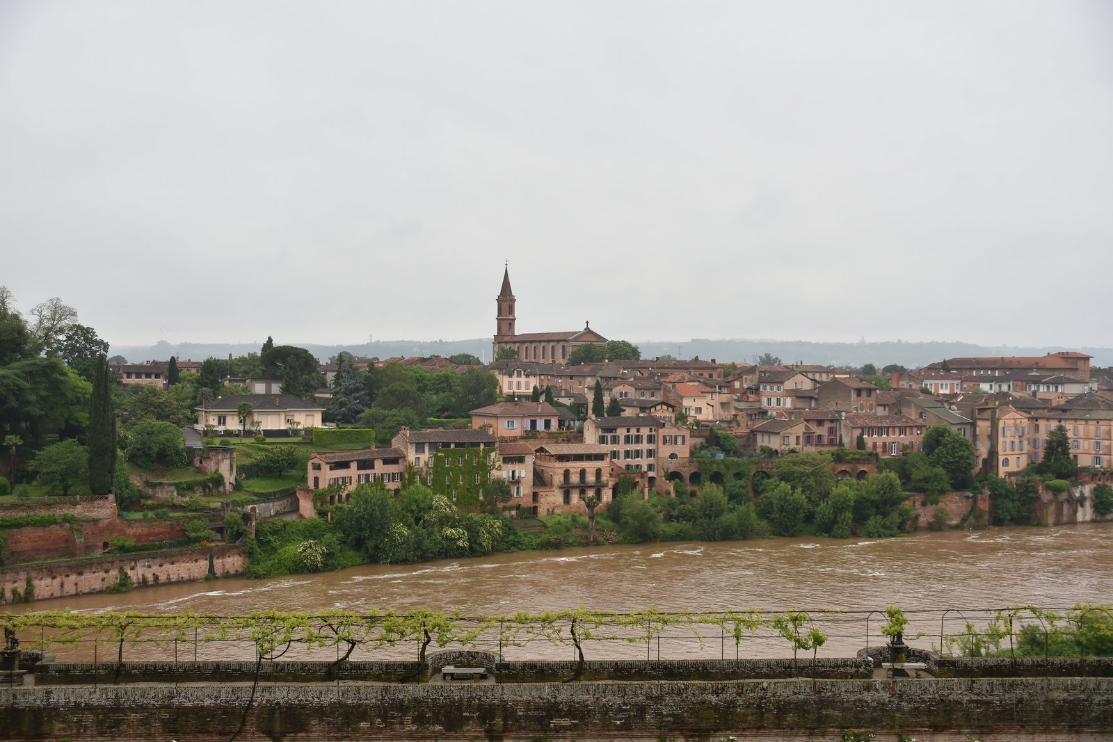 DSC_2211_picc
