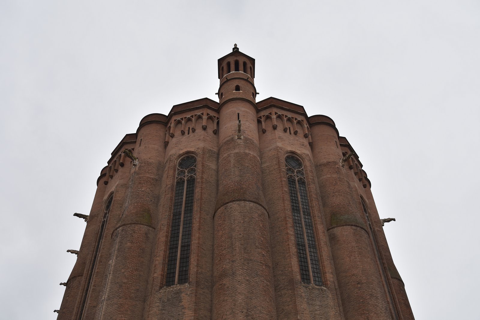 DSC_2251_picc