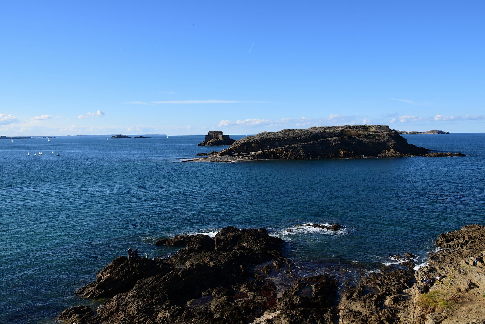 DSC_8766_picc