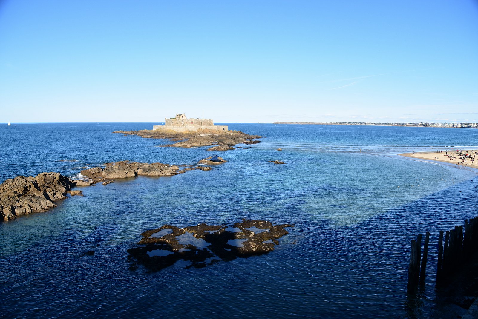 DSC_8778_picc