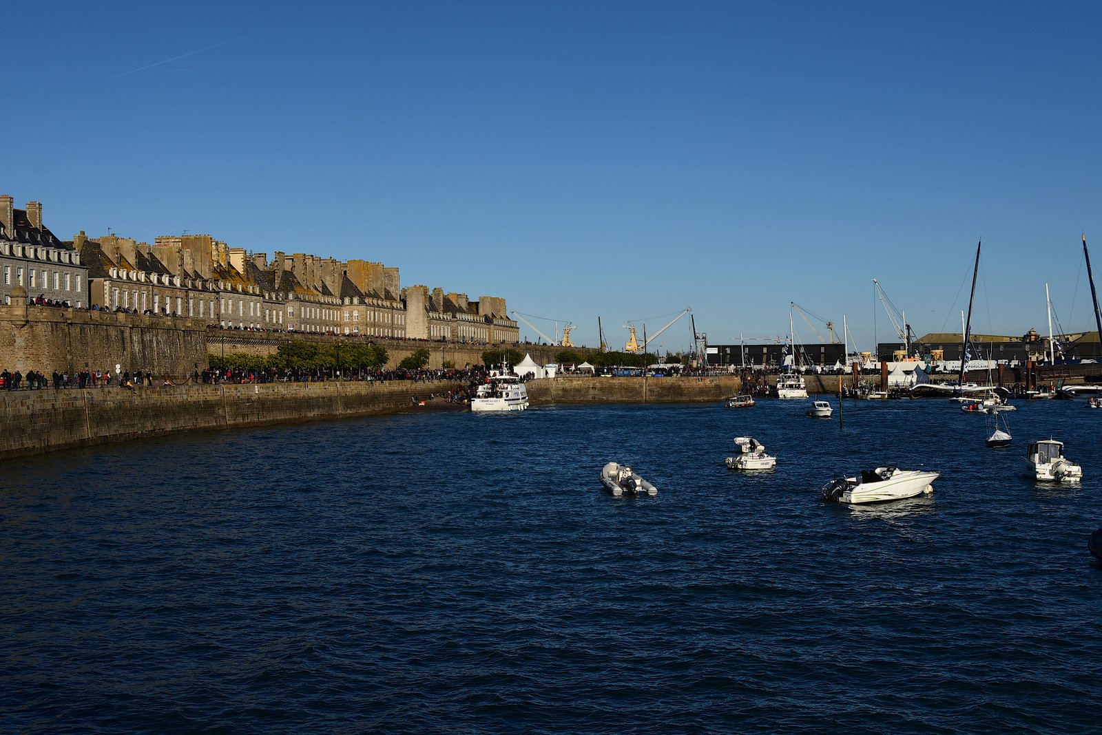 DSC_8797_picc
