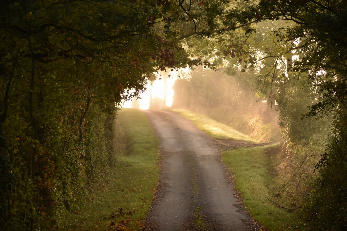 Chemin de songe