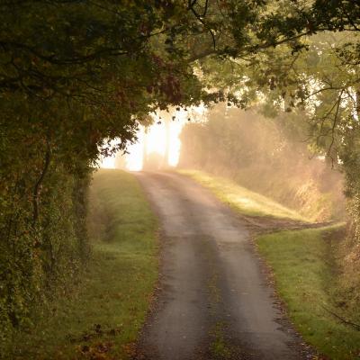 Chemin de songe